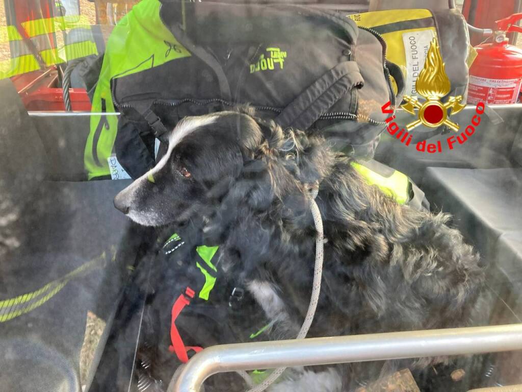 Marone, vigili del fuoco salvano cane in località Val Carezzo