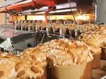 industria dolciaria dolci pasqua colomba fabbrica alimentare