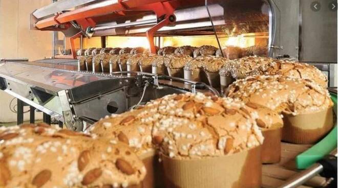 industria dolciaria dolci pasqua colomba fabbrica alimentare