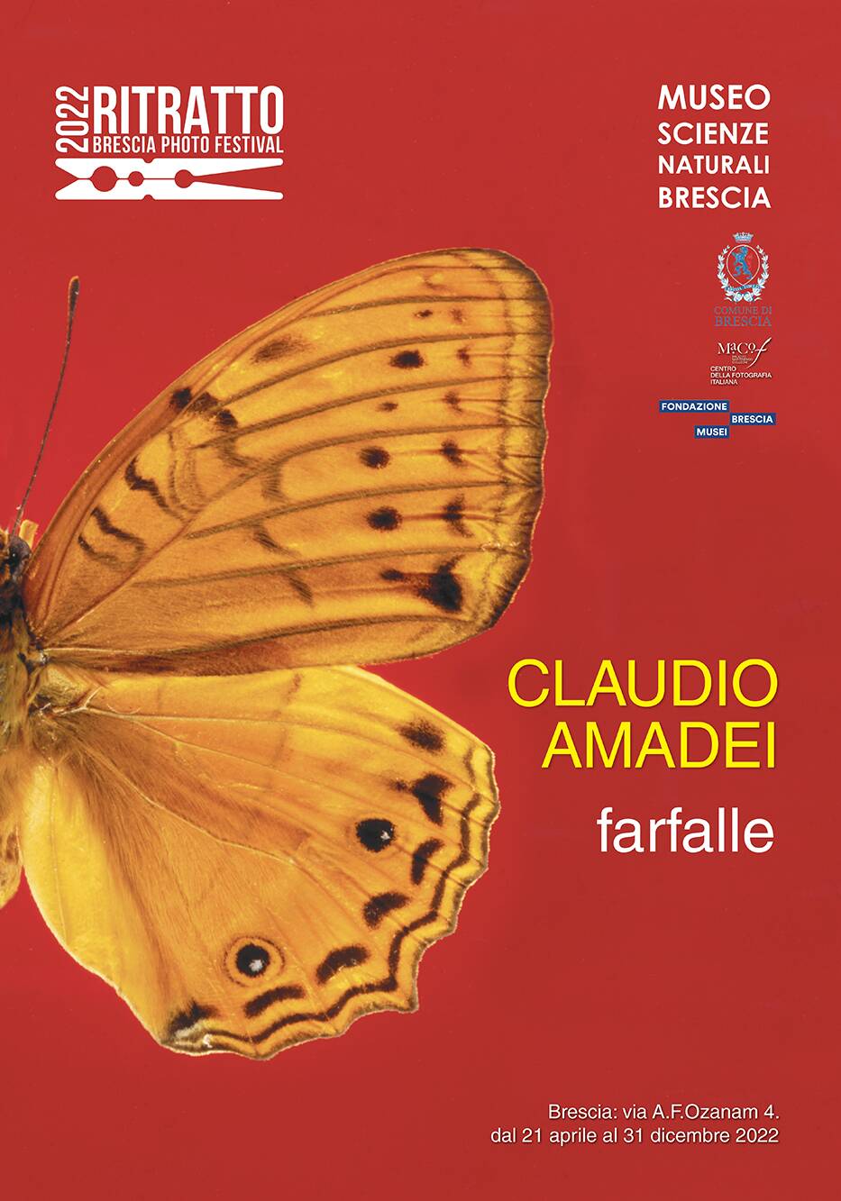 Locandina Farfalle Claudio Amadei