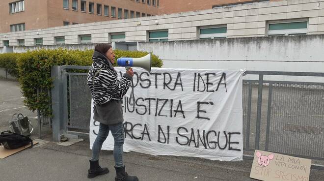 protesta animalista maiale