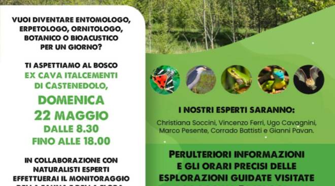 Locandina bioblitz Castenedolo