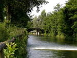 Fiume Oglio a Calcio