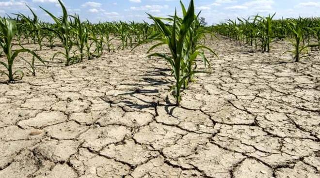 siccità agricoltura