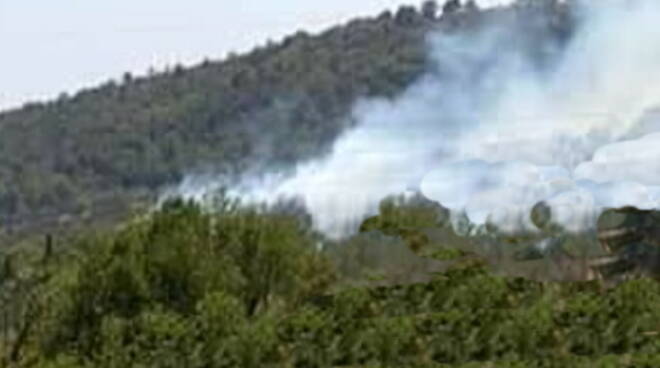 fiamme incendio rogo boschi