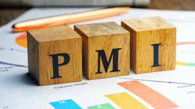 pmi logo