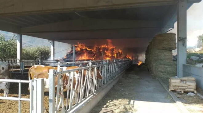 Incendio Azienda agricola Ottelli Zoletti Vincenzo, Angone di Darfo Boario