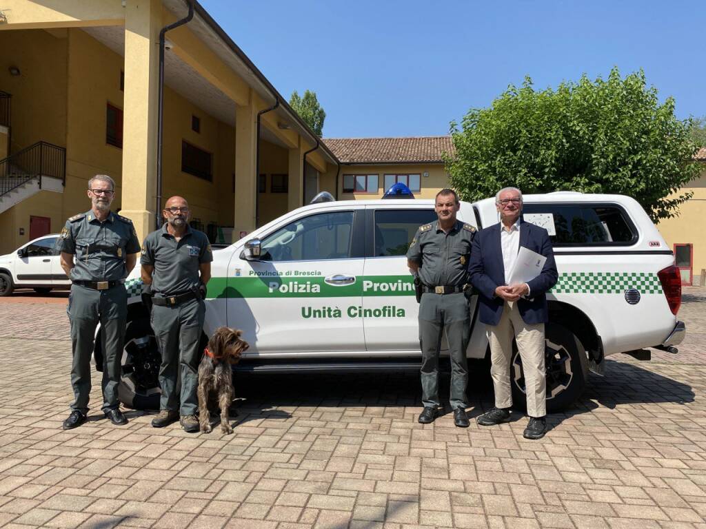 lupo alpino, un'unità cinofila per proteggerlo dai bocconi avvelenati