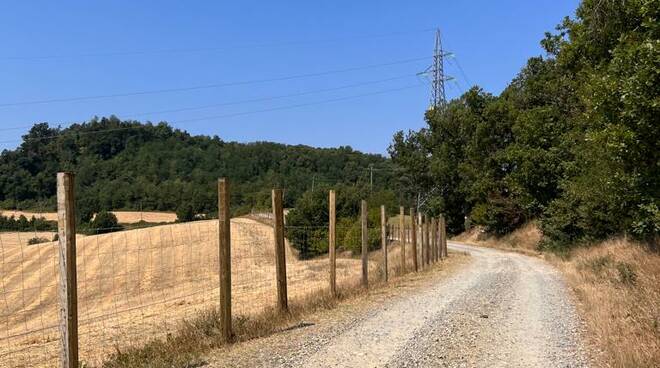 recinzioni contro la peste suina