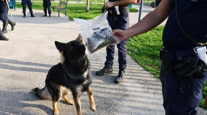 Polizia Locale Brescia Parco rosa Blu