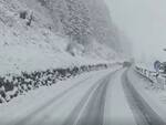 neve strada tonale