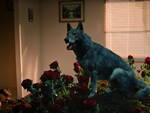 Blanco il cane blu nel videoclip