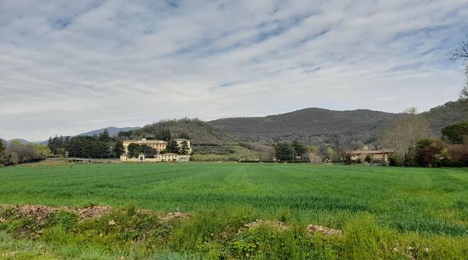 foto parco delle colline