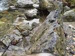 torrente rocce