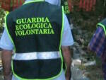 Guardie ecologiche volontarie guardie venatorie