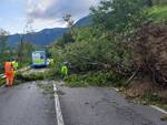 maltempo brescia e provincia