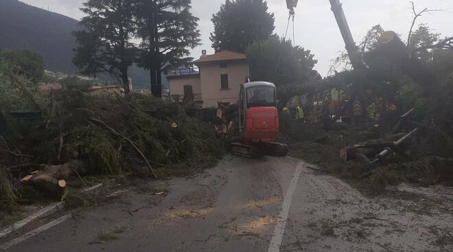 Sulzano, piante abbattute il 24 luglio, chiusa la litoranea