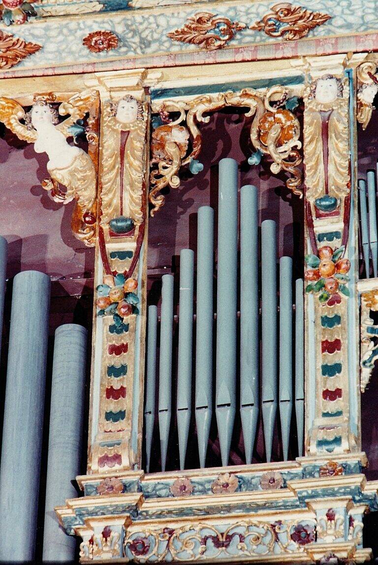 ass.organistica valle camonica