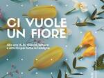 Ci vuole un fiore