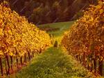 autunno - generica -