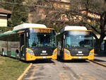Bus Brescia Trasporti servizio stadio