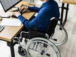 lavoro disabili