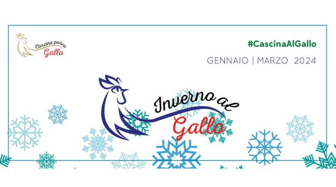 logo inverno al gallo