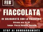 manifestazione pro Palestina