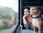 cani gratis sui treni Trenord animali