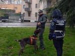 Polizia provinciale cane sole parchi Brescia
