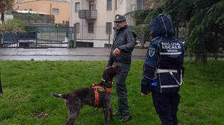 Polizia provinciale cane sole parchi Brescia