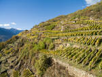 terrazzamenti agricoltura montagna