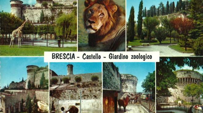 Lo zoo nel castello di Brescia  (1912-1922 e 1955-1988)